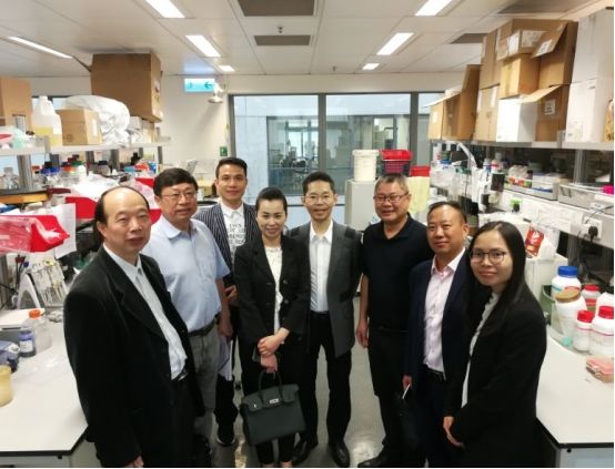 广东省医药企业管理协会受邀参观香港中文大学生物医学院并举行交流会 